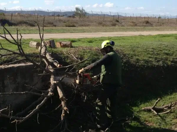 proyectos obras servicios jardineria biomasa integra ambiental 31