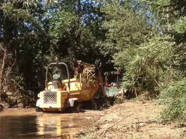 proyectos obras servicios jardineria biomasa integra ambiental 41