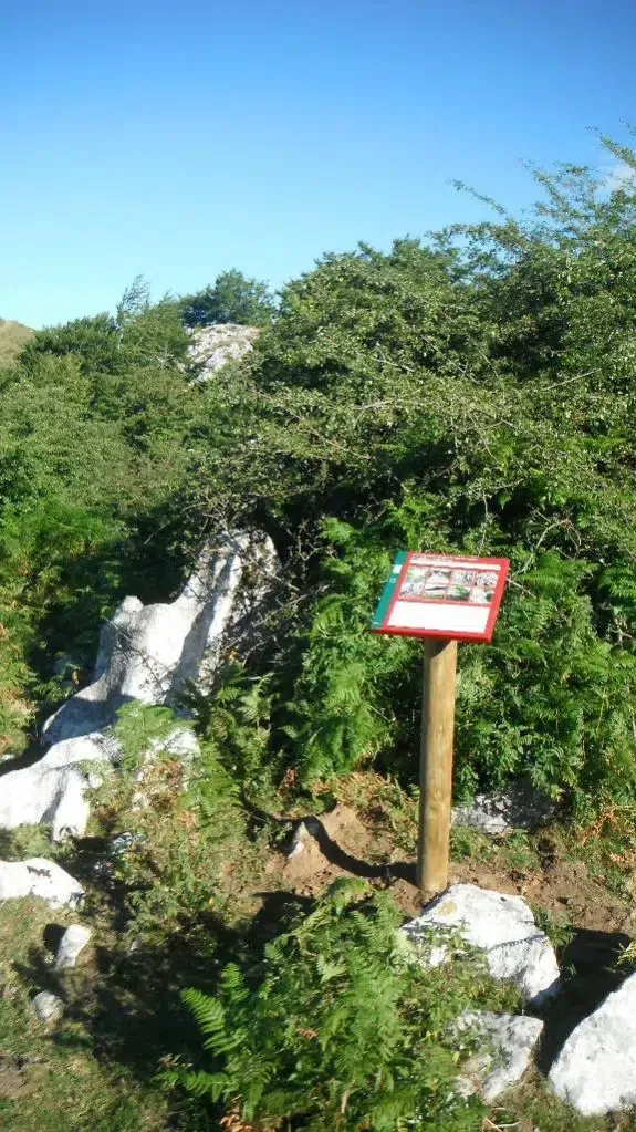proyectos obras servicios jardineria biomasa integra ambiental 1