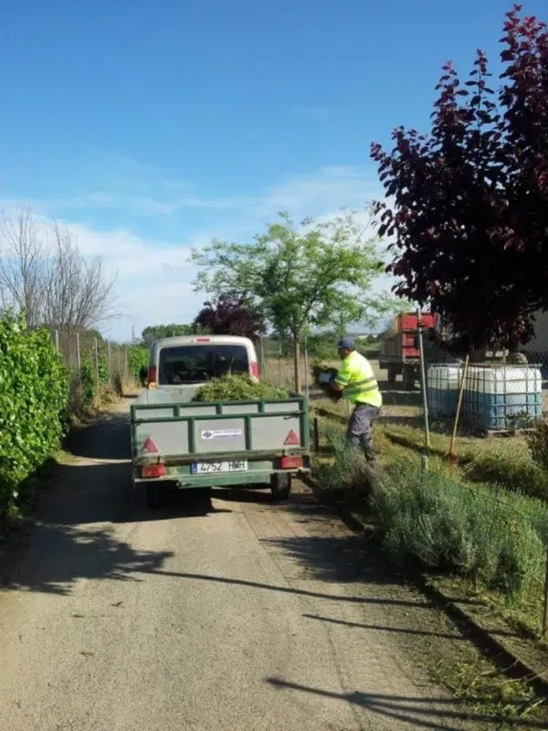 proyectos obras servicios jardineria biomasa integra ambiental 12