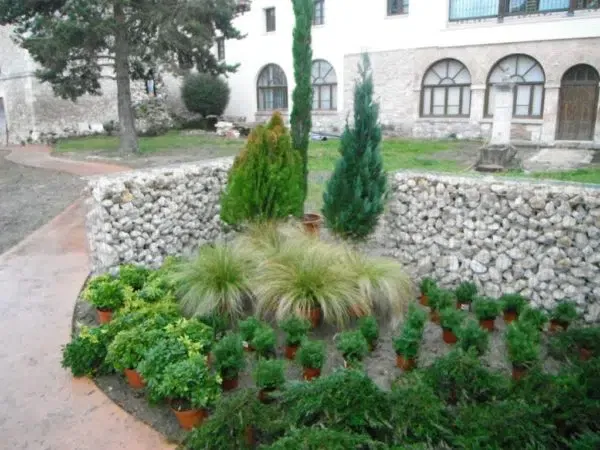 proyectos obras servicios jardineria biomasa integra ambiental 25