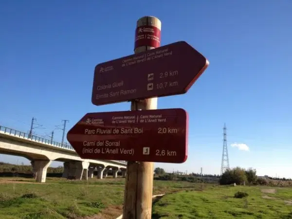 proyectos obras servicios jardineria biomasa integra ambiental 35