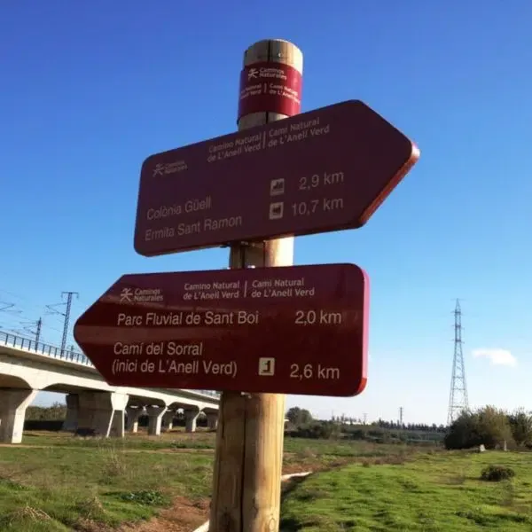 proyectos-obras-servicios-jardineria-biomasa-integra-ambiental-36 proyectos obras servicios jardineria biomasa integra ambiental 36