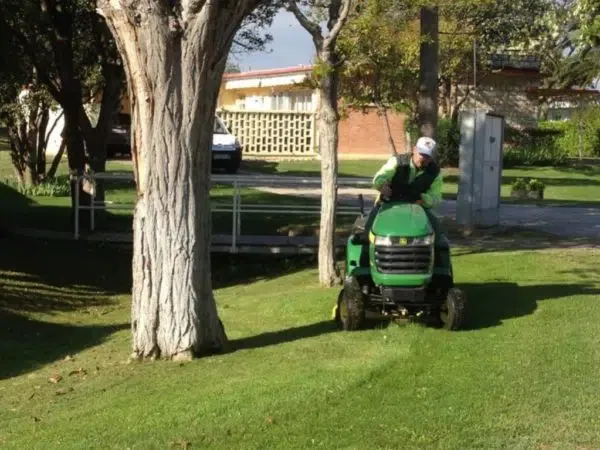proyectos obras servicios jardineria biomasa integra ambiental 37