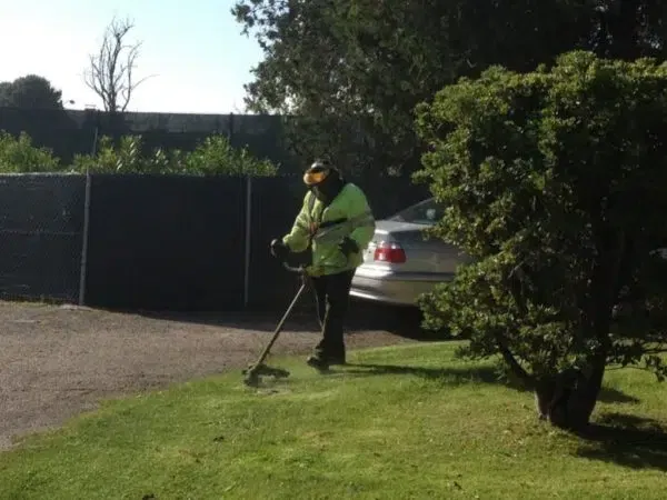 proyectos obras servicios jardineria biomasa integra ambiental 38