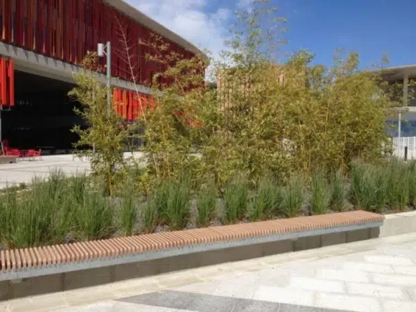 proyectos obras servicios jardineria biomasa integra ambiental 39