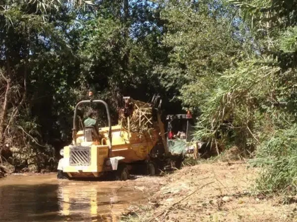 proyectos obras servicios jardineria biomasa integra ambiental 41