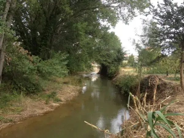 proyectos obras servicios jardineria biomasa integra ambiental 43