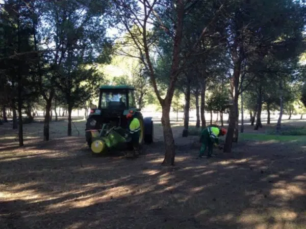 proyectos obras servicios jardineria biomasa integra ambiental 45