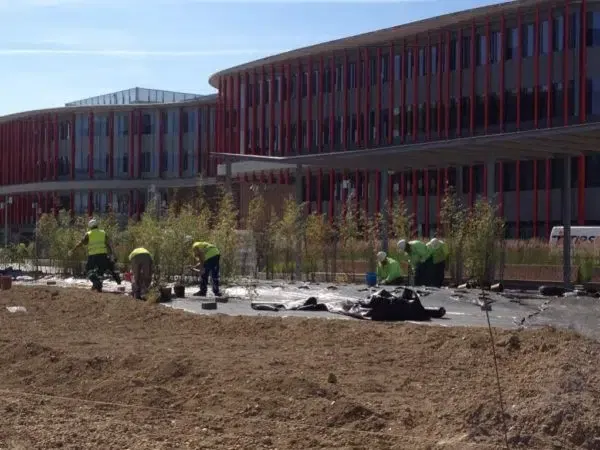 proyectos obras servicios jardineria biomasa integra ambiental 47
