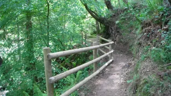 proyectos obras servicios jardineria biomasa integra ambiental 6