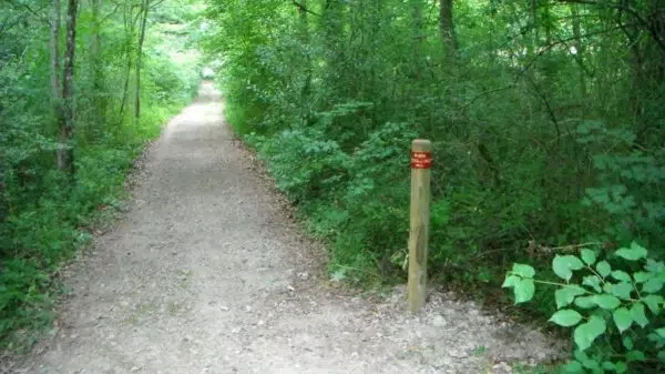 proyectos obras servicios jardineria biomasa integra ambiental 8