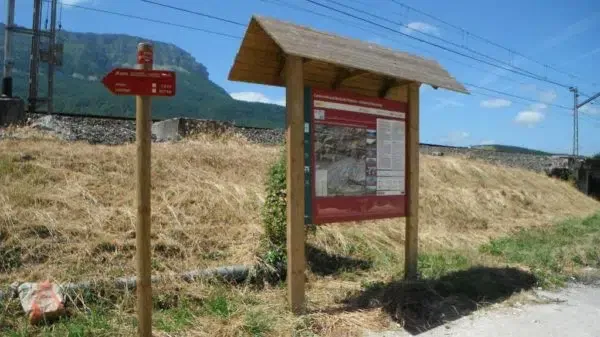 proyectos obras servicios jardineria biomasa integra ambiental 9