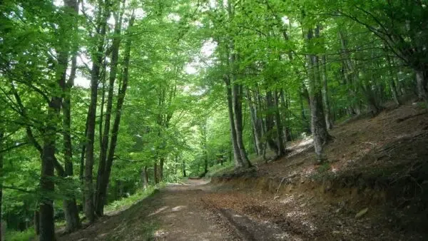 APARTADO EMPRESA MEDIO NATURAL